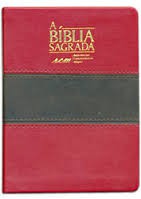 Bíblia média bicolor